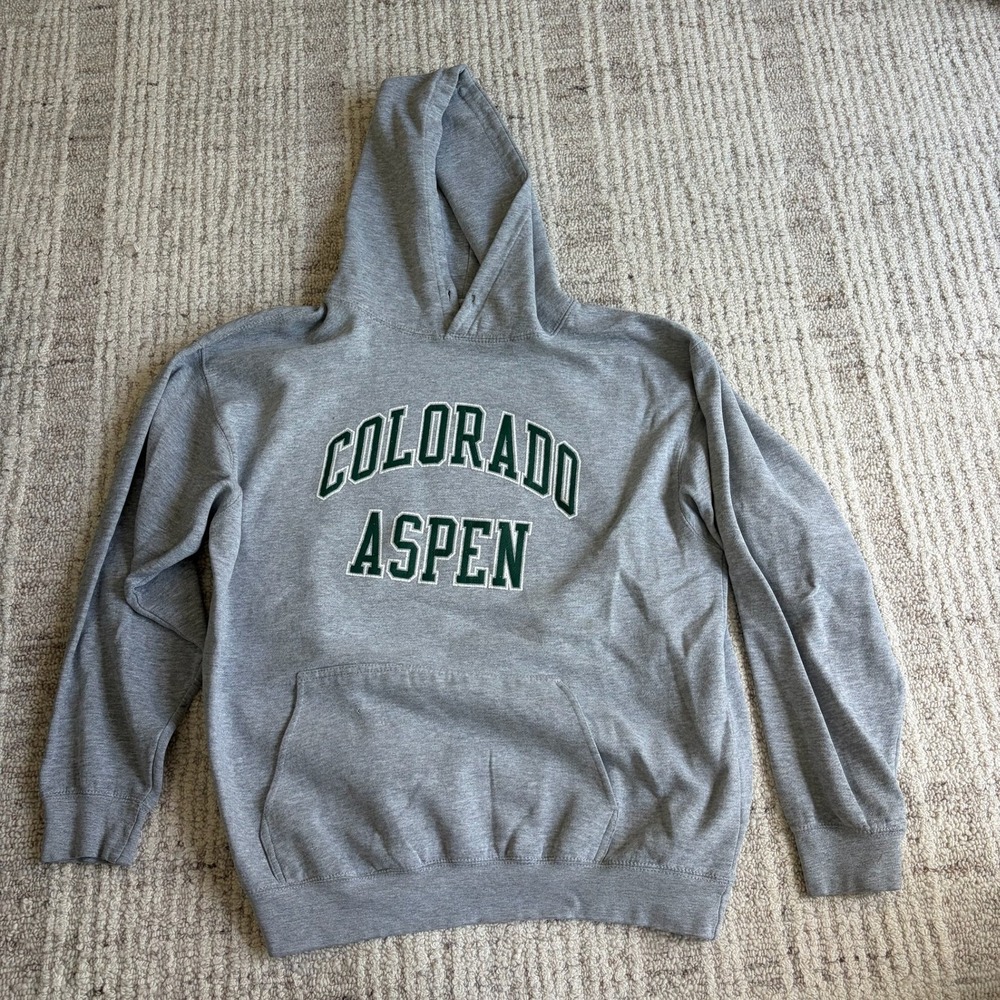 Brandy Melville Colorado Aspen Hoodie Heather Gray Oversized Sweatshirt OS